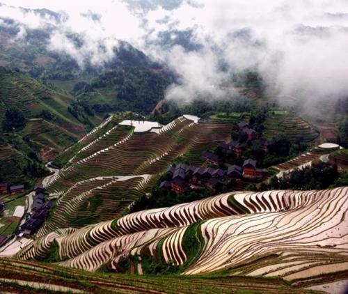 Longsheng: Xing Jia Yuan