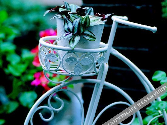Сямынь: Lagom Stay Boutique Inn