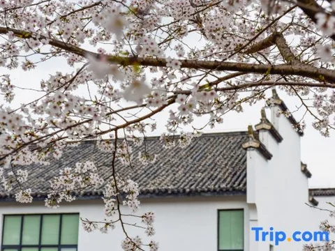 Хуаншань: Mount Huangshan Wonderland Hotel