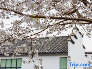 Хуаншань: Mount Huangshan Wonderland Hotel