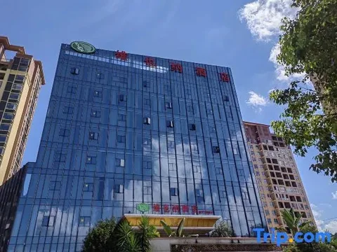 Лунъянь: Vienna Hotel (Wuping Wanxing City Store)