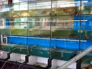Чжоушань: Enning Hotel