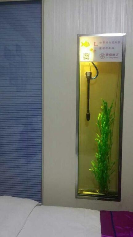 Чжэнчжоу: Zhengzhou Ziteng Hotel