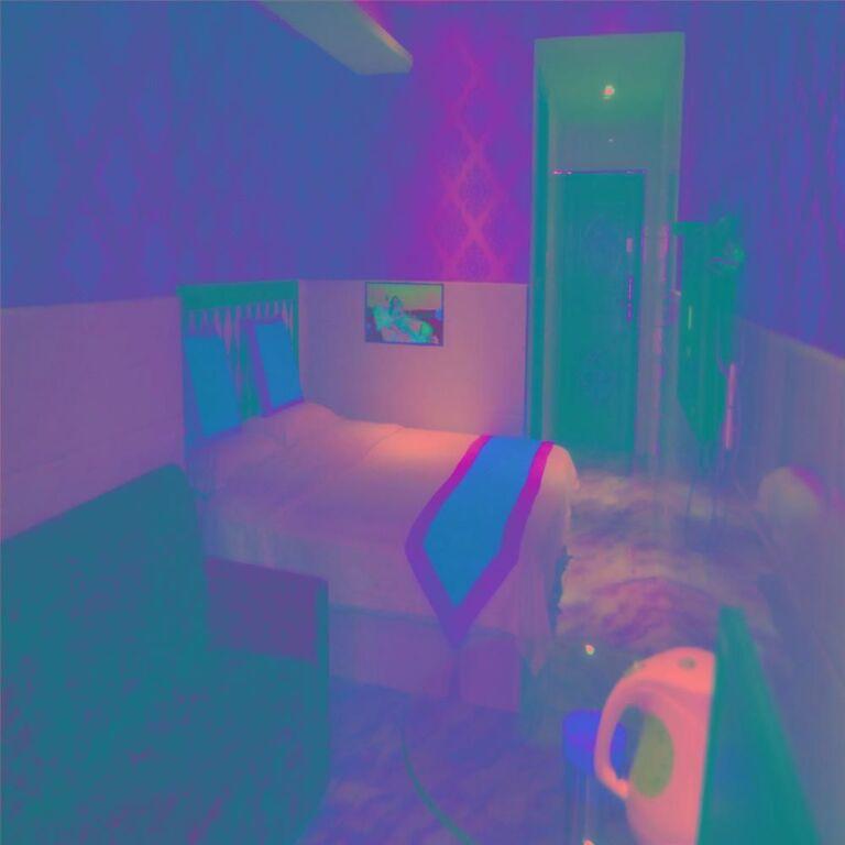 Чунцин: Chongqing Narcissus Fan Hotel