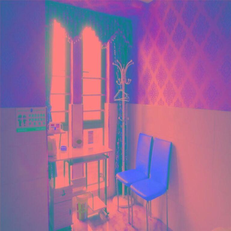 Чунцин: Chongqing Narcissus Fan Hotel
