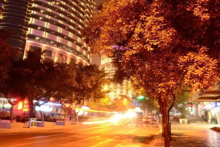 Чунцин: Chongqing Zhiyue Hotel