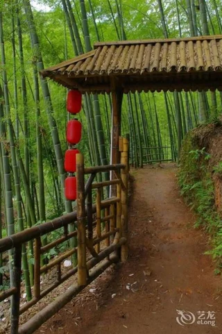 Ибинь: Yibin, Sichuan Bamboo Sea of Emerald Hills