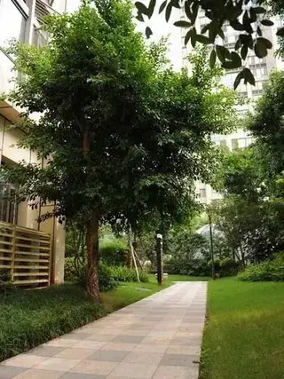 Чунцин: Yijing Hotel Apartment