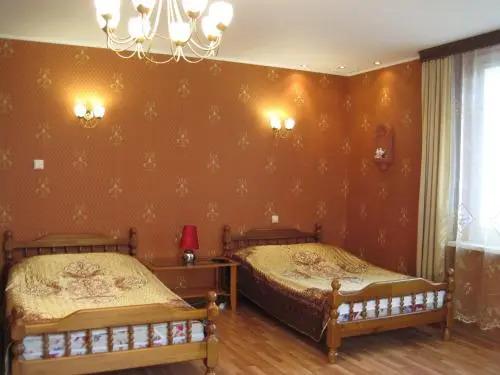Луга: Hotel Vasilisa
