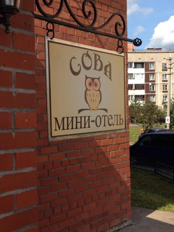 Гатчина: Хостел Сова