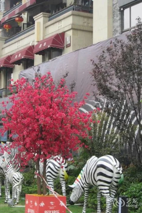 Чунцин: Jiangbeizui Boutique Hotel Apartment
