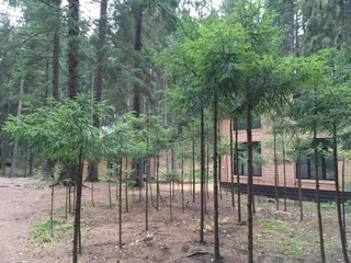 Ильичево: Лавалла Хутор