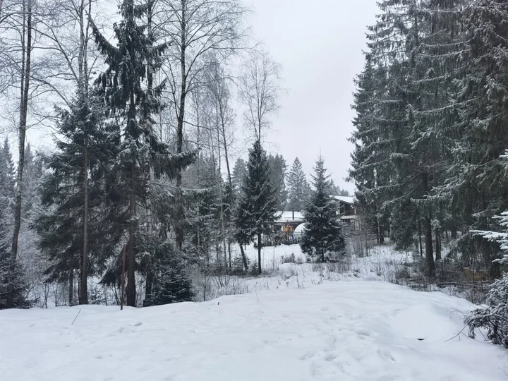 Вартемяги: Дом Парк Лесок