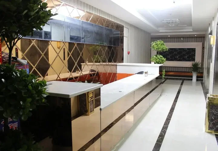 Чунцин: Chongqing Sheshe City Hotel