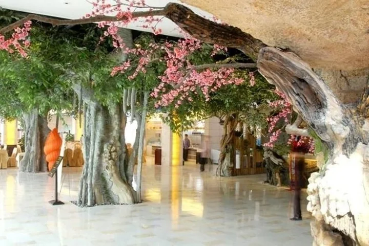 Шицзячжуан: Hebei Bailu Hot Spring Hotel