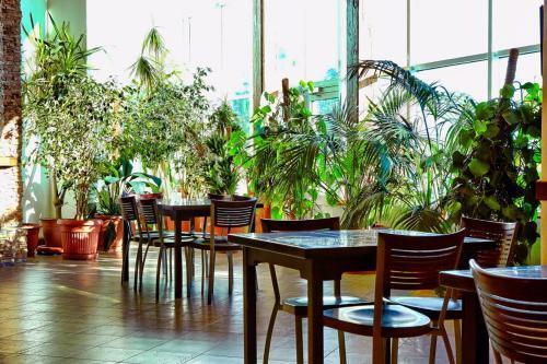 Токсово: Hotel Severniy Sklon