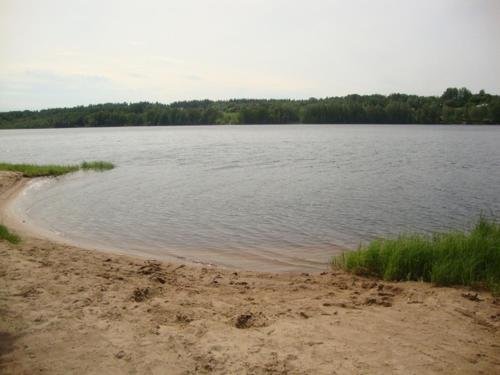Коробицыно: Shale Sovushkino Gnezdo