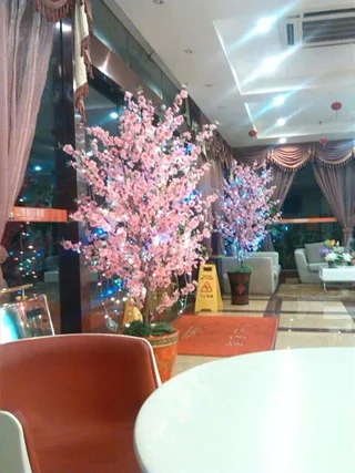 Наньнин: Nanning Hawks Holiday Hotel