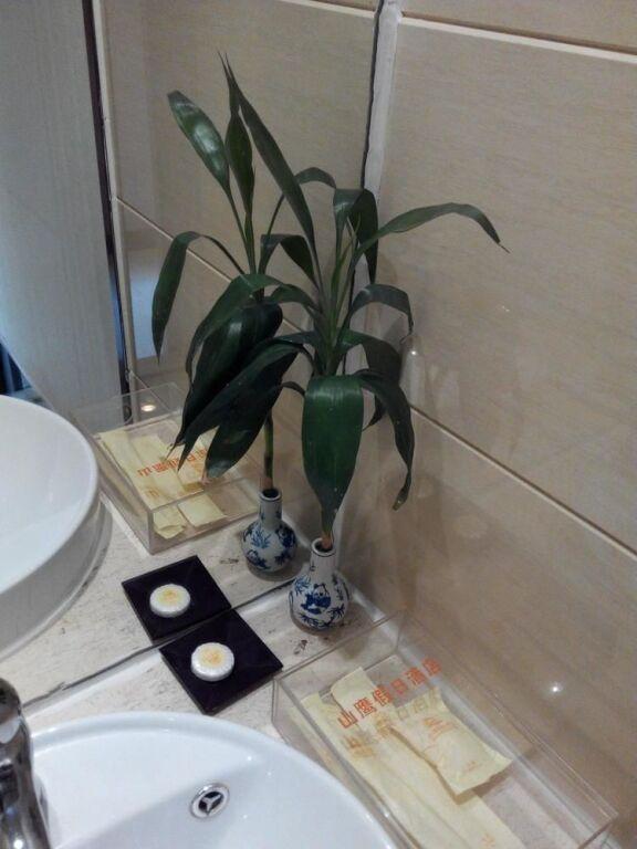 Наньнин: Nanning Hawks Holiday Hotel