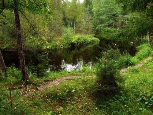 Косколово: Гостиница Кургала