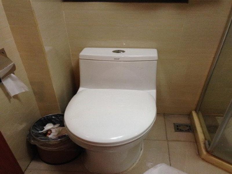Ухань: Wuhan Future City Hotel