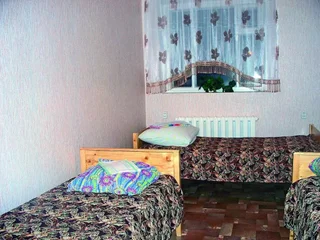 Сосновый Бор: Живица