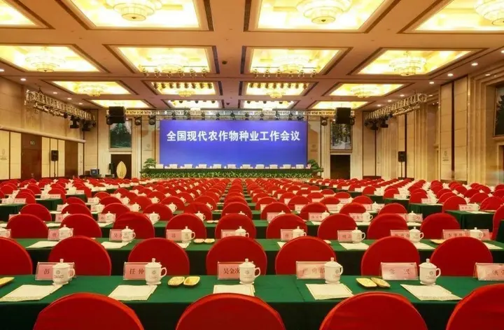 Чанша: Vaya International Hotel