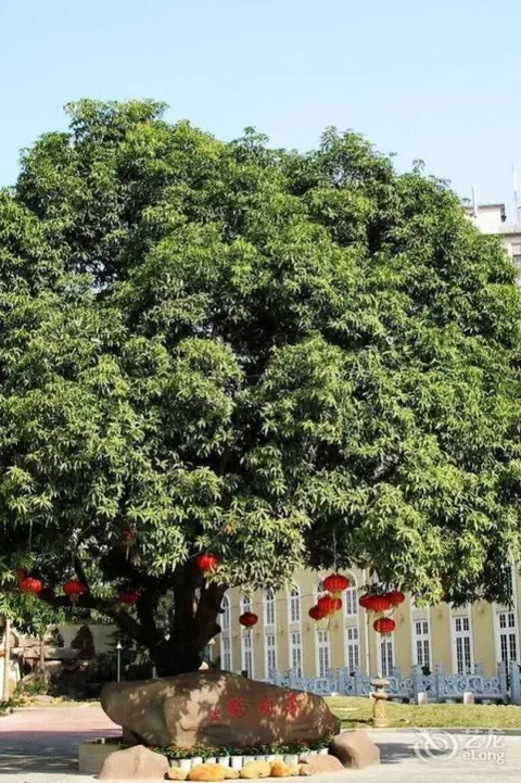 Сямынь: Xiamen Heyijia Garden Hotel