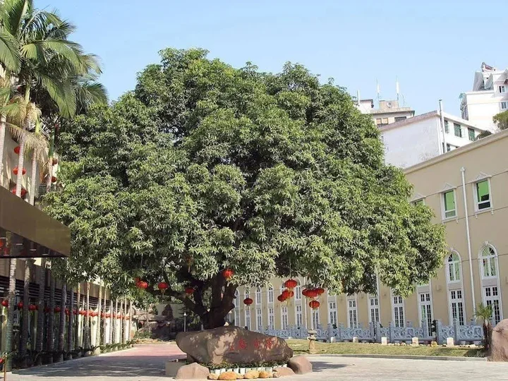 Сямынь: Xiamen Heyijia Garden Hotel