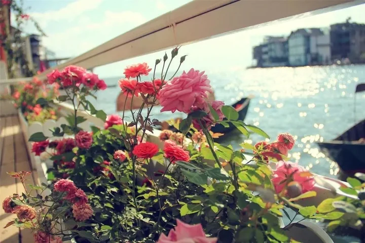 Дали: Sea View Inn
