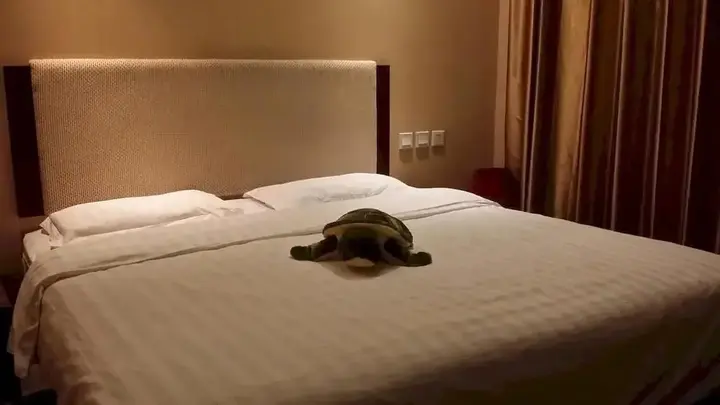 Шэньян: Shenyang Xiangyi Boutique Hotel