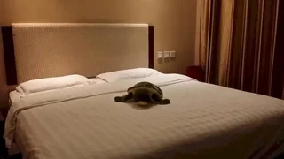 Шэньян: Shenyang Xiangyi Boutique Hotel