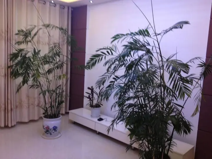 Джинченг: Yangcheng County Gucheng New District Agricola