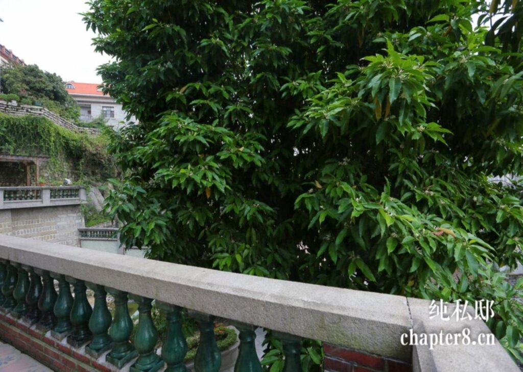 Сямынь: Xiamen Gulangyu Chun Si Di Hostel