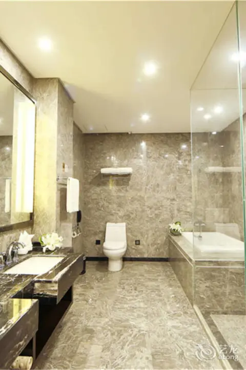Чжэнчжоу: Zhengzhou St. Regis Xiyue International Hotel