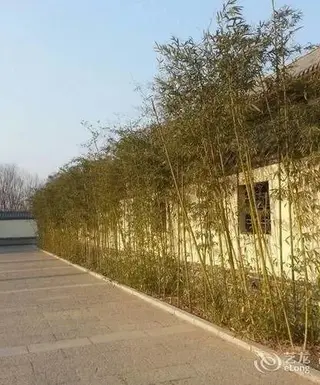 Хэншуй: Qinseyuan Inn