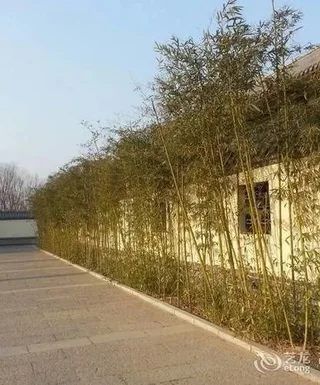 Хэншуй: Qinseyuan Inn