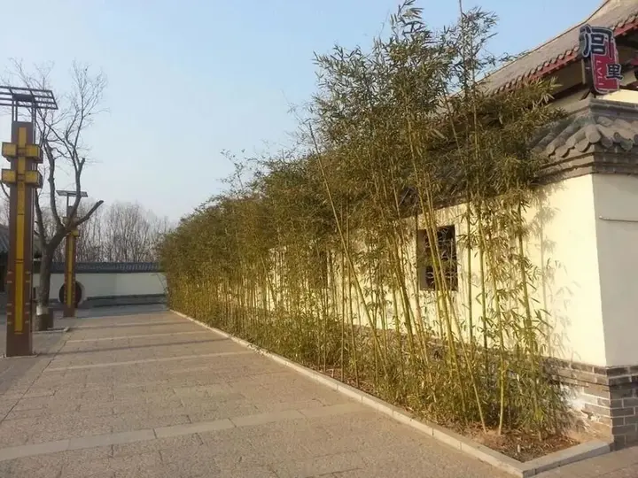 Хэншуй: Qinseyuan Inn