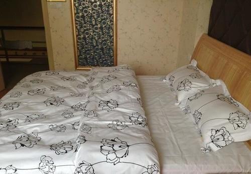 Ухань: Wuhan Lanting Hotel