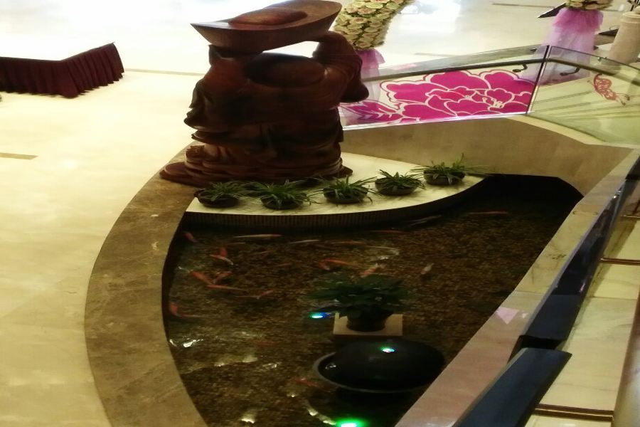 Наньнин: Xiangsihu International Hotel