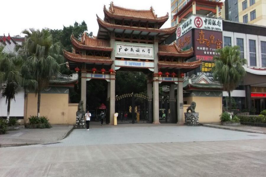 Наньнин: Xiangsihu International Hotel