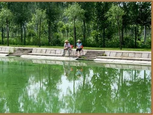 Пекин: Dongxiangting Hotel- Beijing