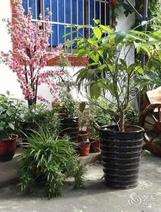 Шанхай: Shenfu Yard Inn