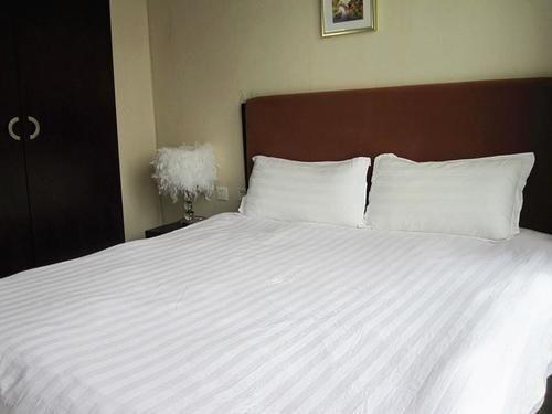 Ухань: Wuhan 1 Plus 1 Hotel