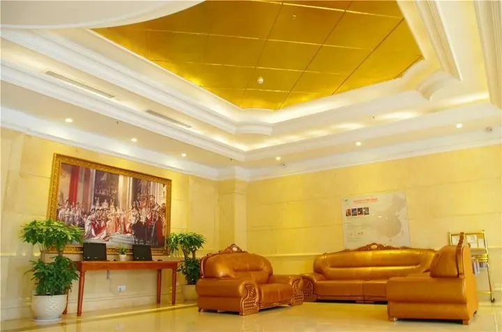 Чжэнчжоу: Vienna Hotel