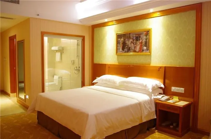 Чжэнчжоу: Vienna Hotel