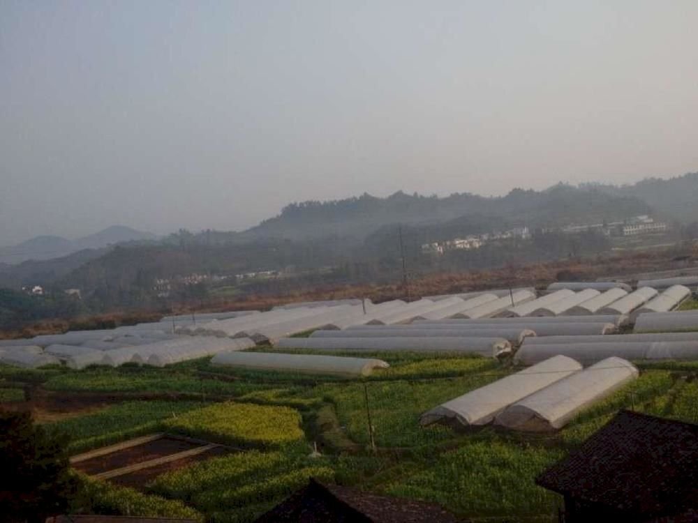 Шанграо: Longwei Yanlou Inn Wuyuan