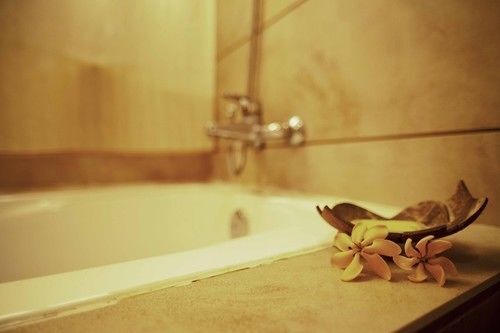 Xishuangbanna Elephant Home Guesthouse — фото 1