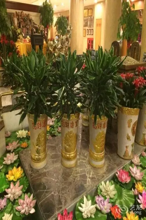 Тайюань: Sanjin International