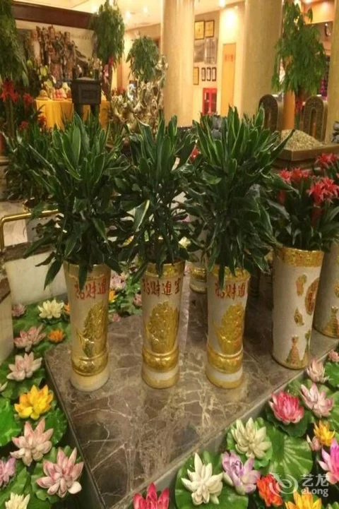 Тайюань: Sanjin International